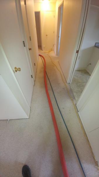 California Carpet Care
