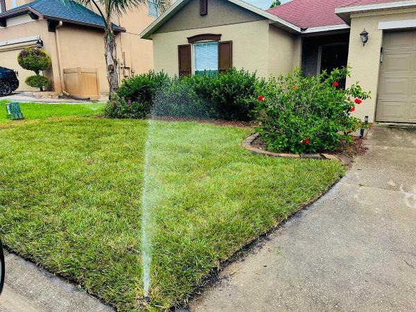 Tailored Lawn Care