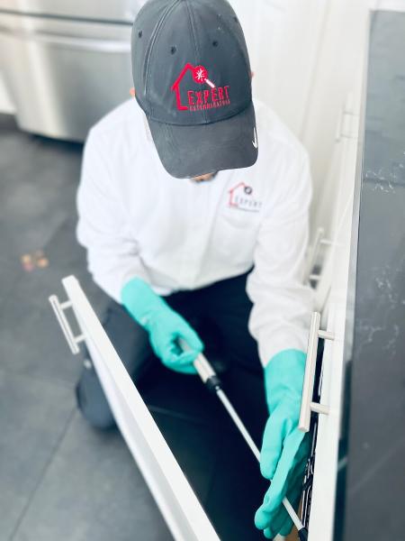 Expert Exterminators