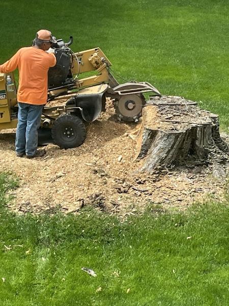 Call Jeff Stump Grinding