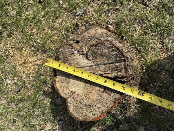 Call Jeff Stump Grinding