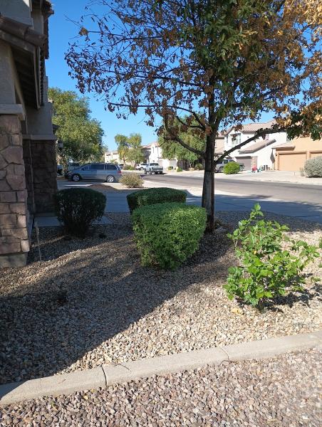 Lawn Care Solutions Llc.phoenix az