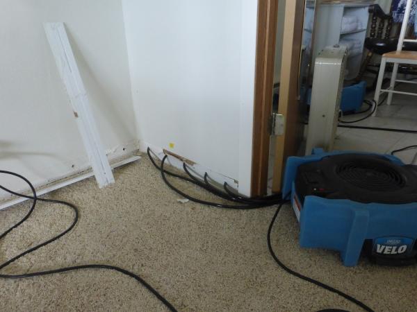 Pacific Dryforce