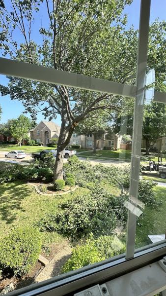 Wauson Tree Service