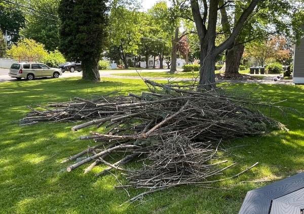 Tree and Yard Renovations