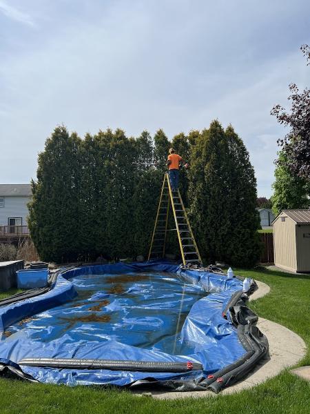 Tree and Yard Renovations