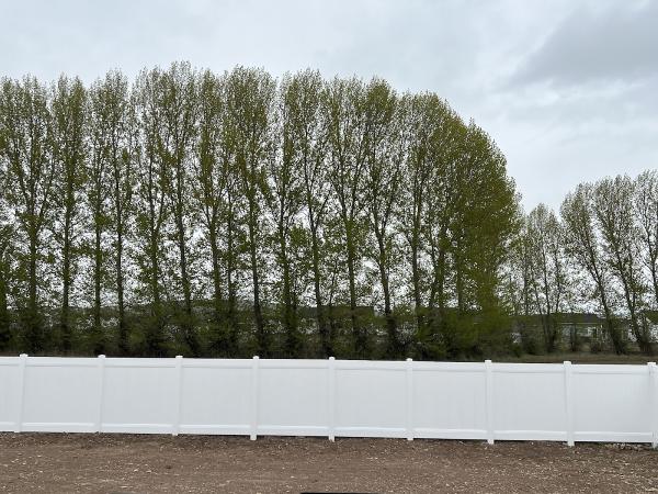 Mr. Fence