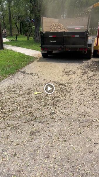 Hernandez Lawn Care Service & Landscaping