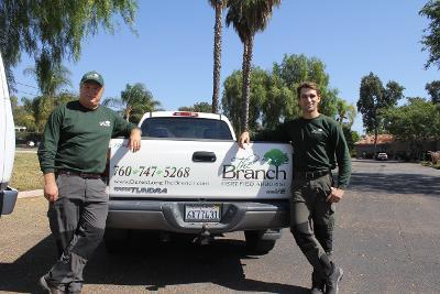 The Branch
