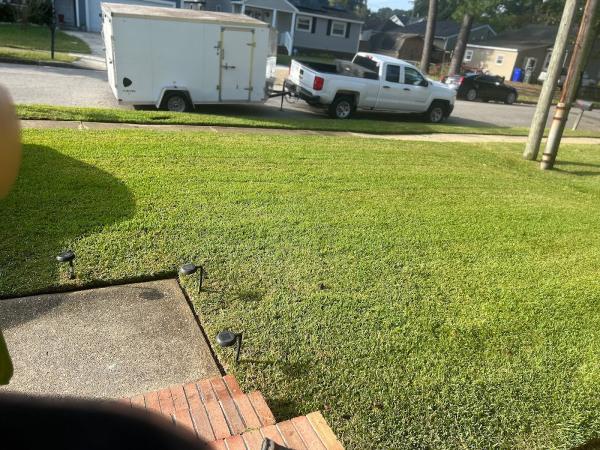 Grooming Green Landscaping