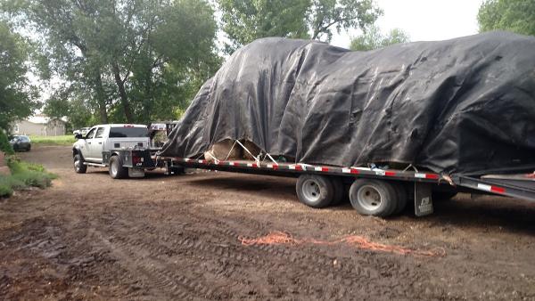Down For Whatever Landscape Solutions