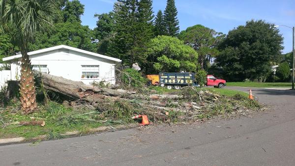 Done Rite Hauling & Junk Removal Saint Petersburg