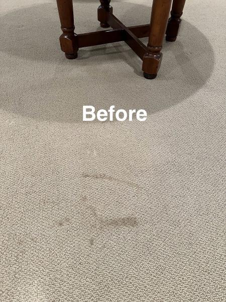 Mighty Clean Carpet Care