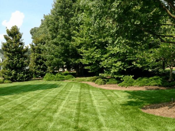 TNT Lawncare & Landscape