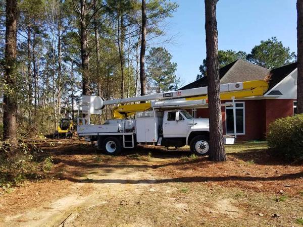 Griffin Tree and Land Services