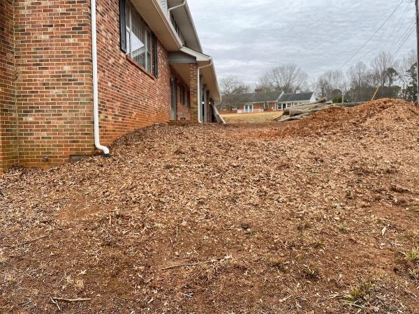 Seamster Tree & Stumpdoctor Stump Grinding