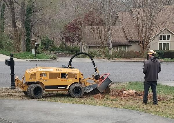Seamster Tree & Stumpdoctor Stump Grinding