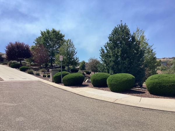 Guardian Landscape