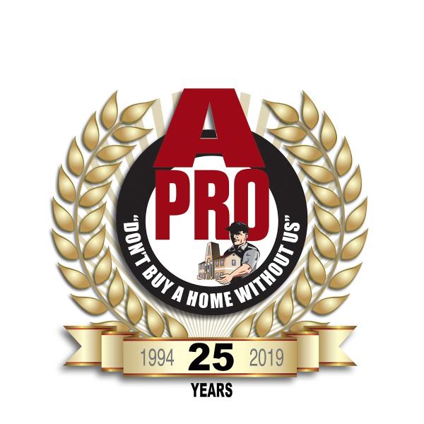 A Pro Home Inspection Services
