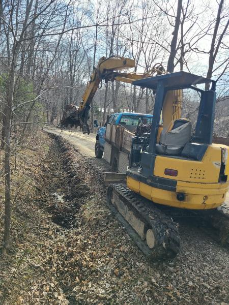 Real Rescue Tree Experts