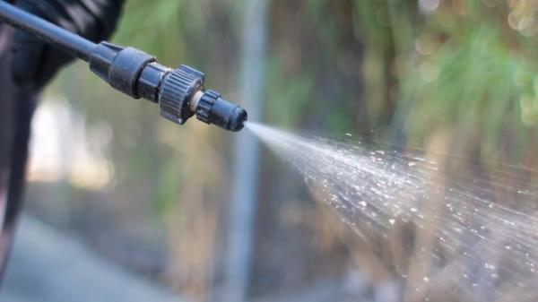 Integrity Pest Management