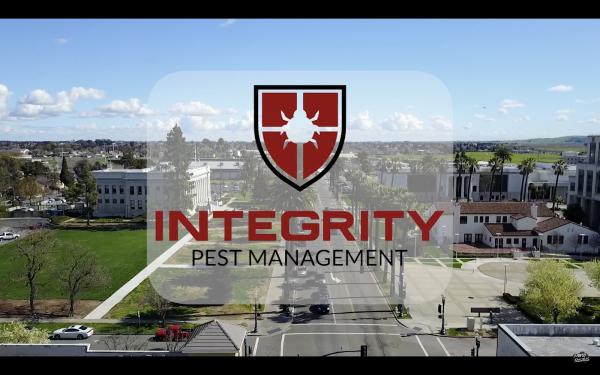 Integrity Pest Management