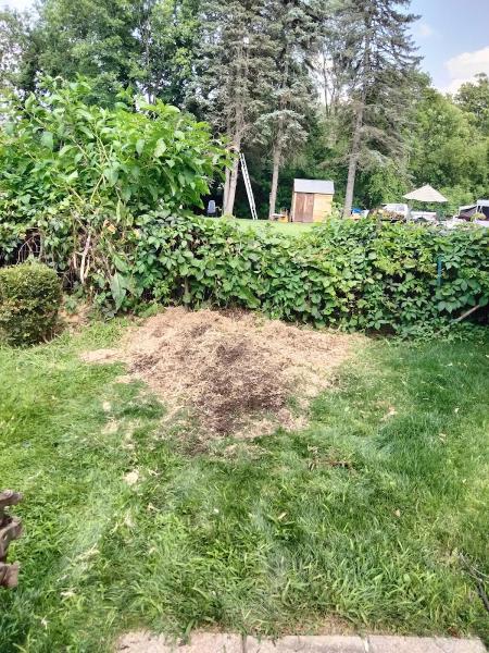 Luke's Stump Grinding Service LLC