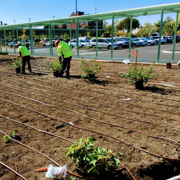 Waterville Irrigation