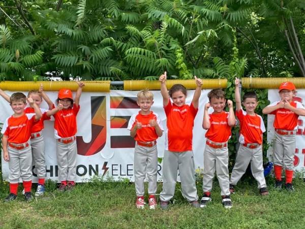 Johnson Electrical L.l.c