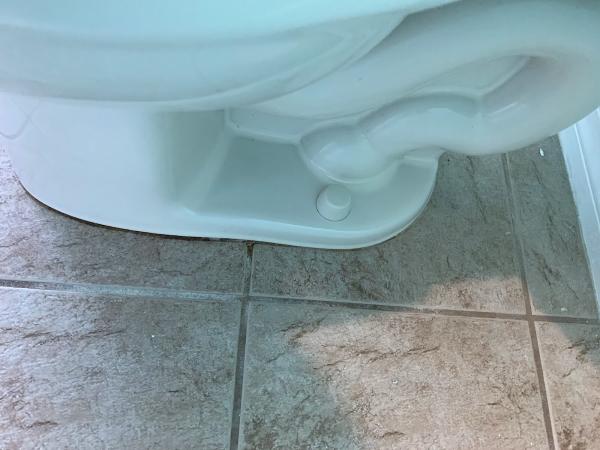 E.c.h.o. Elite Cleaning LLC