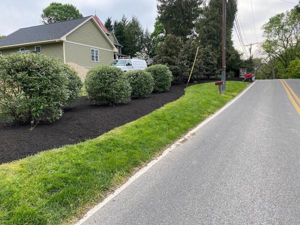 Core Aeration and Lawn Services