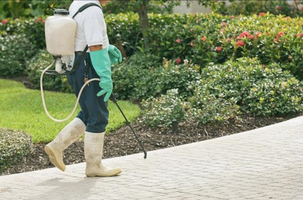 Garcia Pest Management