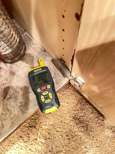 Water Tech Restoration and Mitigation Palm Desert