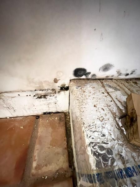 Water Tech Restoration and Mitigation Palm Desert