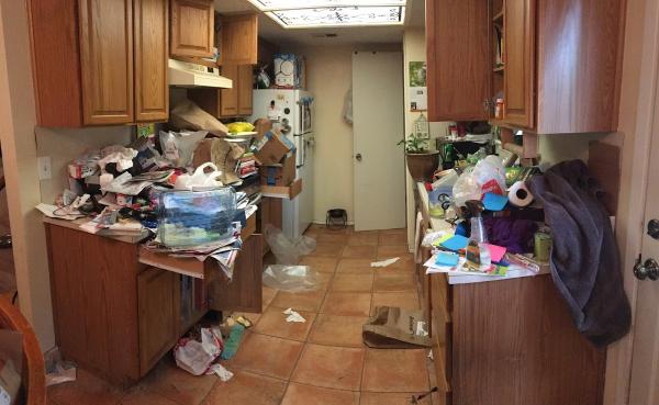 Future Maids Cleaning Service