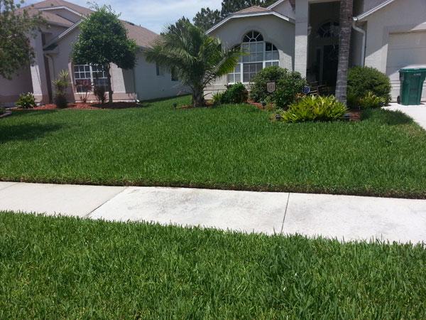 Elite Inspections & Pest Solutions