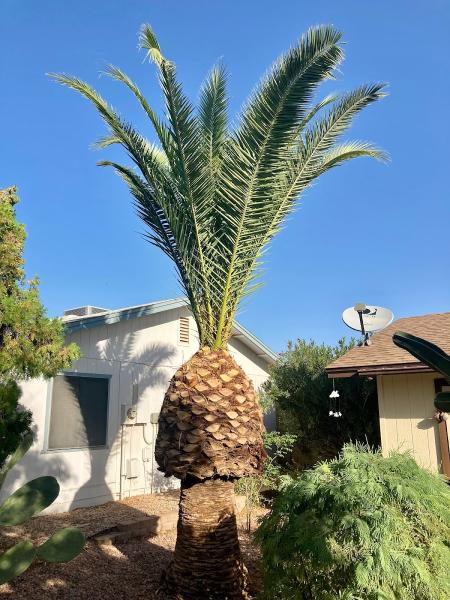 Green Keeper Tree Care