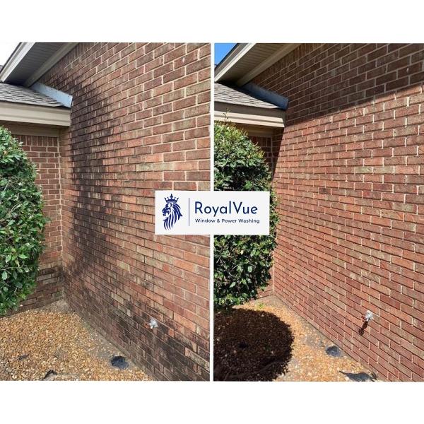 Royalvue
