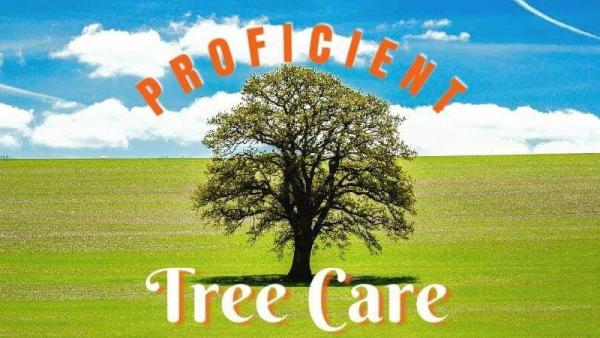 Proficient Tree Care Corp.