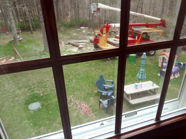 Levesque Tree Services