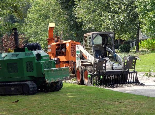 SP Tree Removal