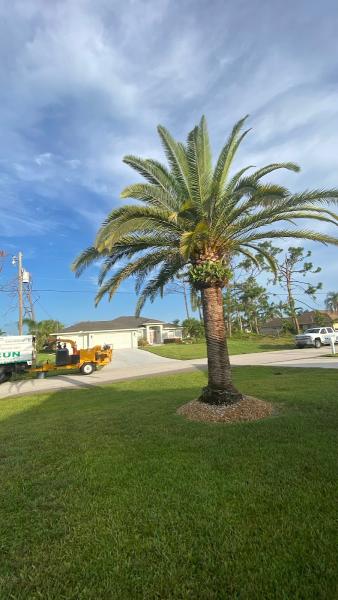 Cancun Lawn and Tree Service
