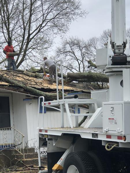 Big R Tree Service Inc.