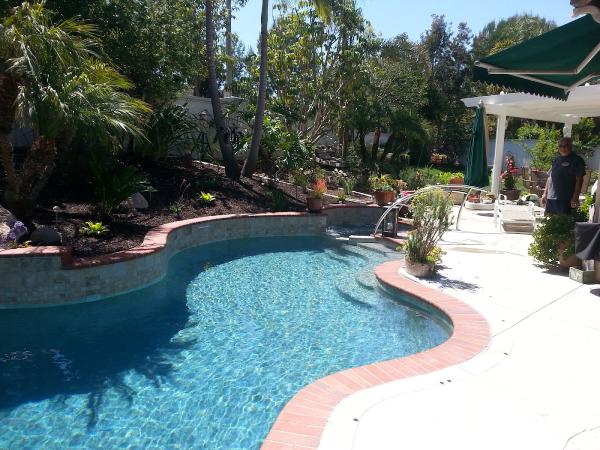 Plumeria Pools