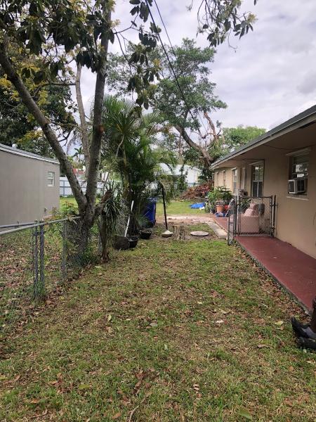 Suncity Stump Removal