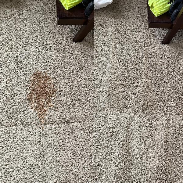Columbia Carpet Cleaning