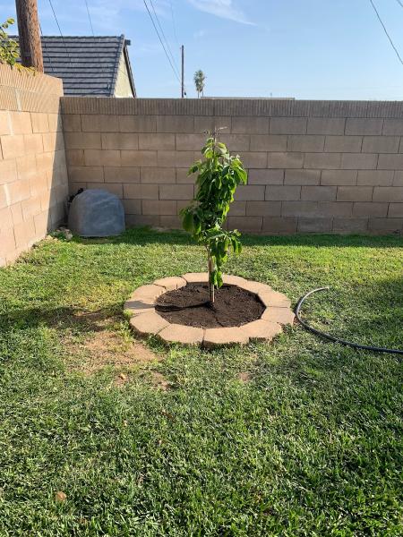 Havlu Landscaping