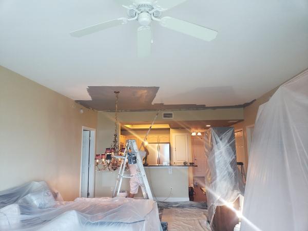 Platinum Painting and Coatings Inc.