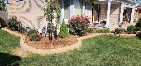 Barefoot Landscape