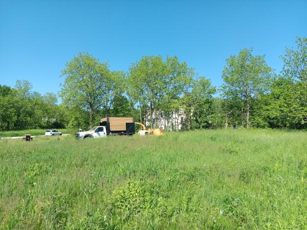 Great Impression Tree Services Llc
